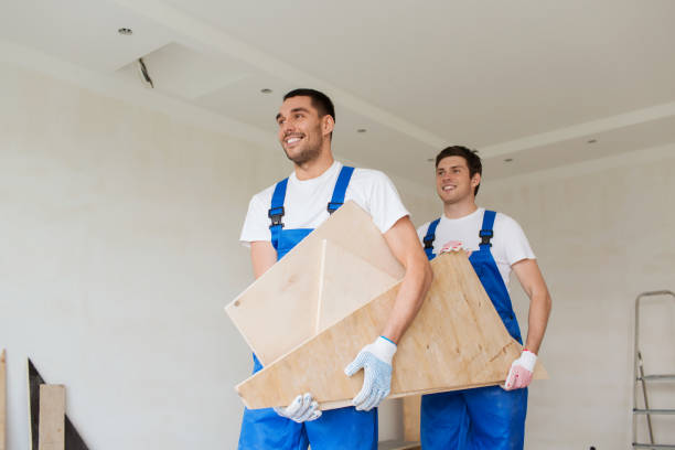 Best Furniture Removal  in Lonaconing, MD